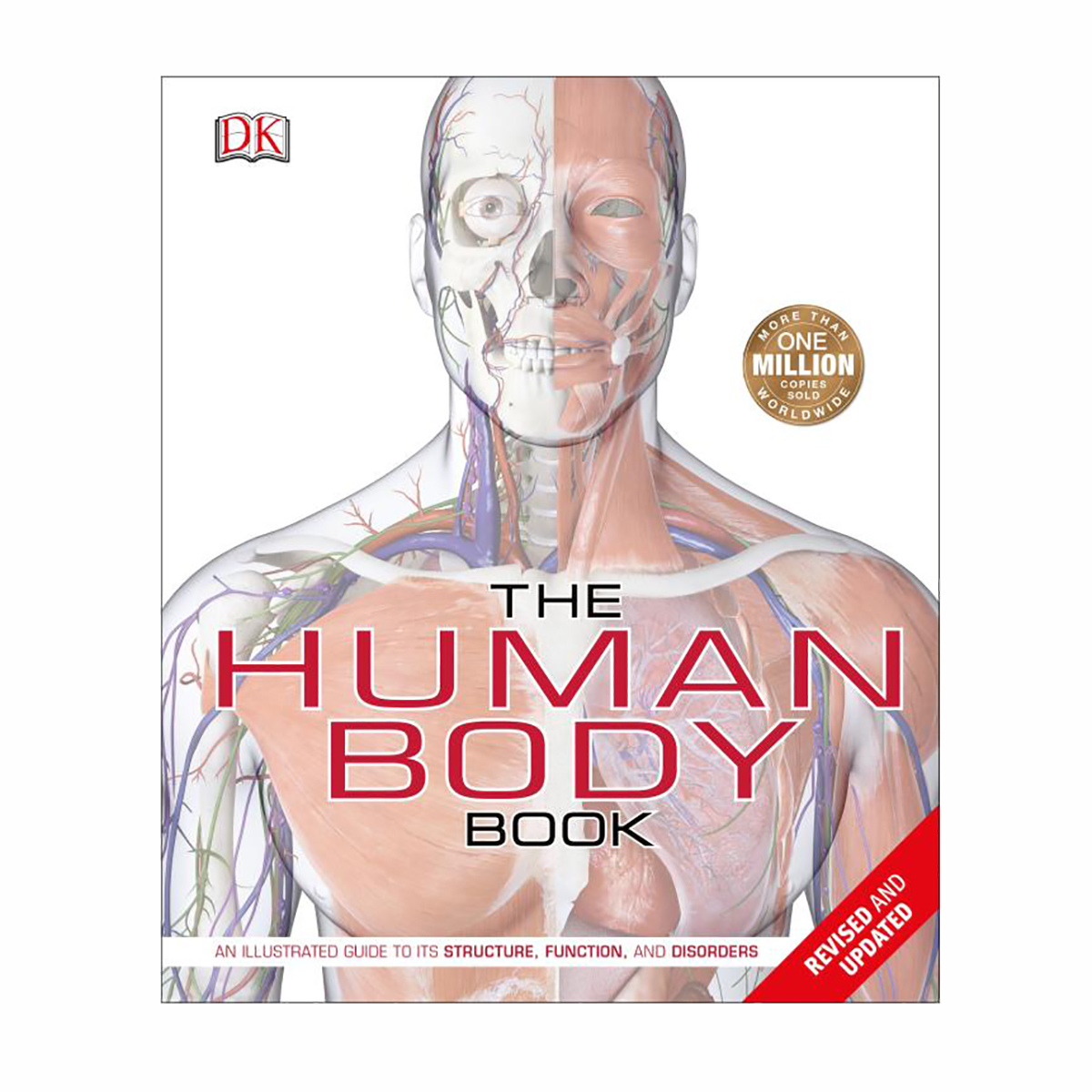 The Human Body Book - Illustrated guide | St John Ambulance